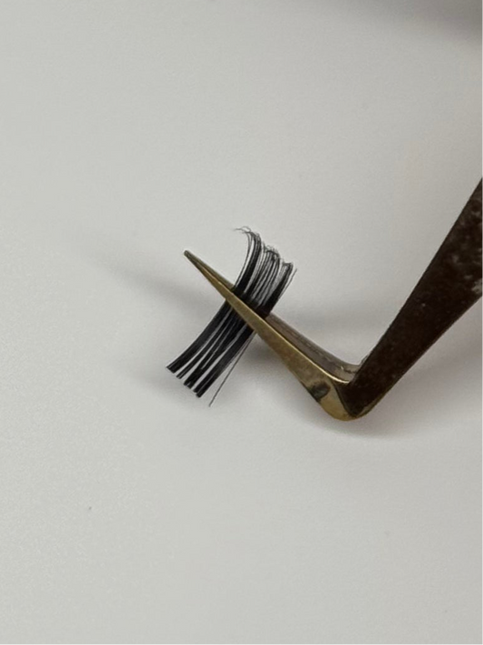 Cashmere Lash Tray (defective)